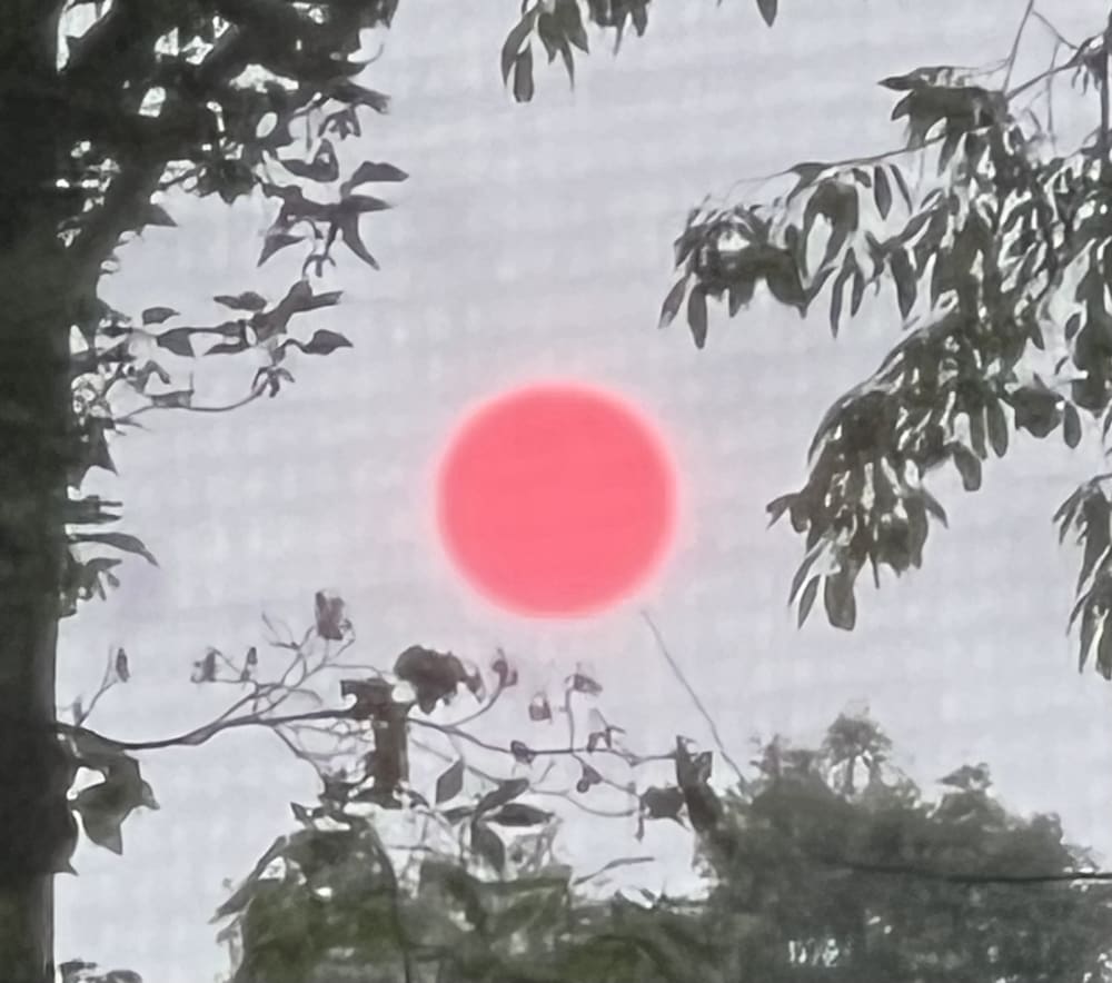 The smoke from wildfires has also led to the sun appearing red in some places, here as seen near Owego, New York.