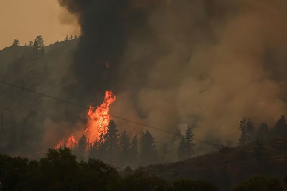 Trees catch fire during the Eagle Bluff wildfire after it crossed the Canada-U.S. border from the state of Washington and prompted evacuation orders, in Osoyoos, British Columbia, Canada July 30, 2023.