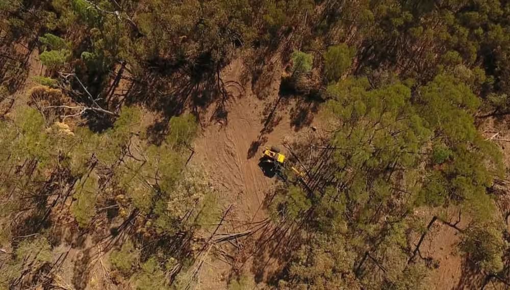 Deforestation in Australi