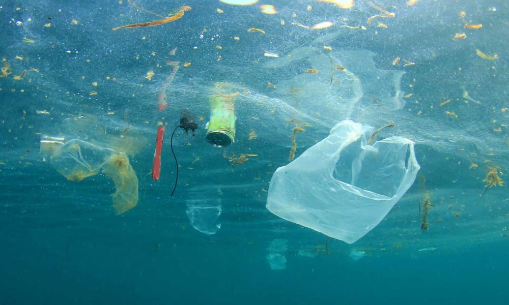 Plastic pollution in the ocean