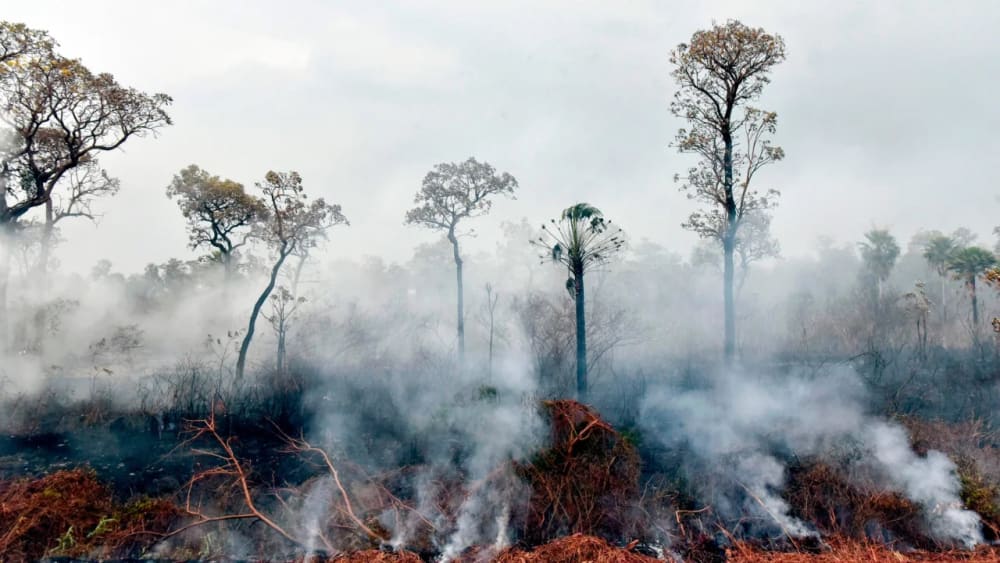 Smokes rises from forest fires in Otuquis National Park.