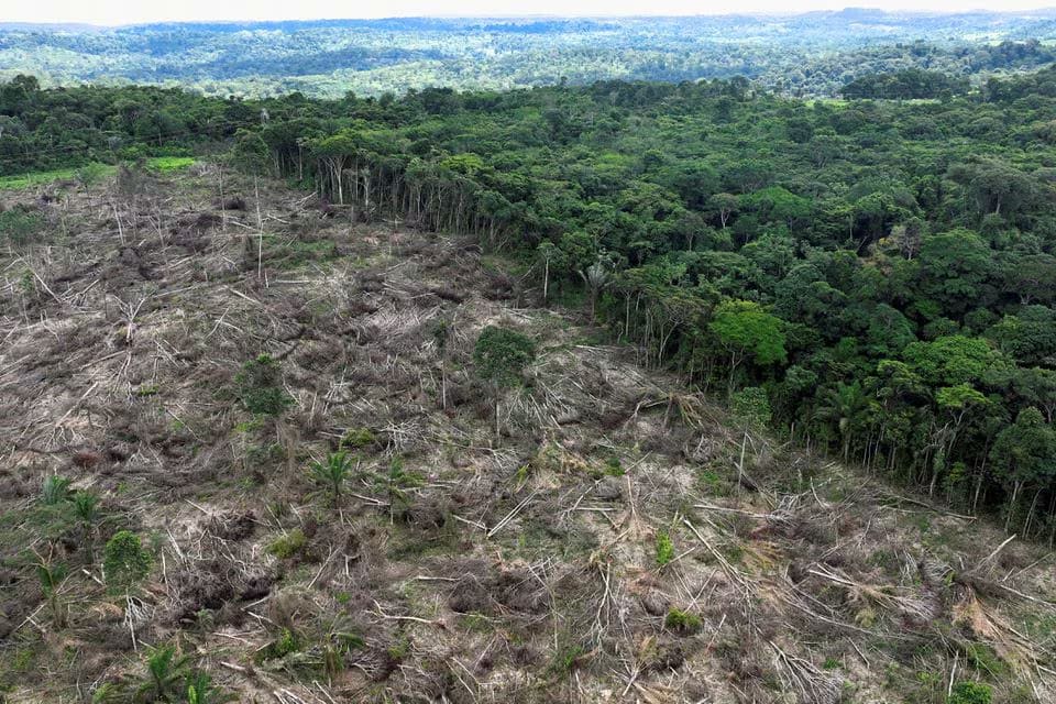 An aerial view shows a deforested area during an operation to combat deforestation near Uruara, Para State, Brazil January 21, 2023.