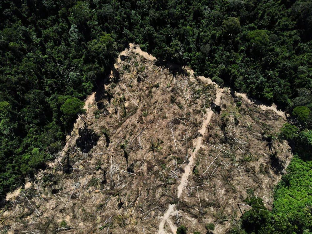 Deforestation in Brazil's Amazon