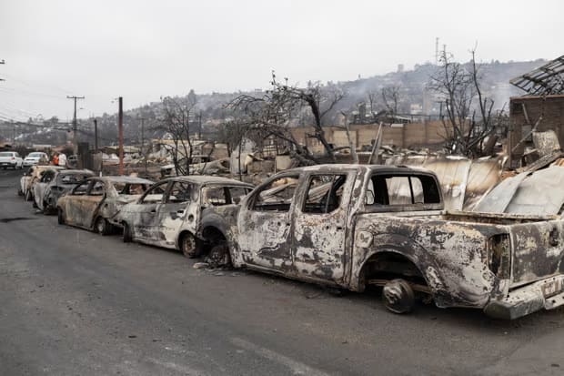 The remains of burned cars are lined up on a street.