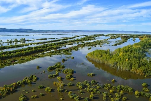 Pollution of Amur River