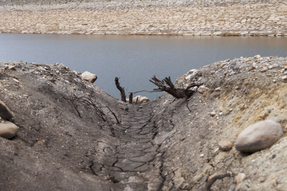 Dry branchs of trees are seen on parched ground at San Rafael reservoir in La Calera, Colombia April 8, 2024.