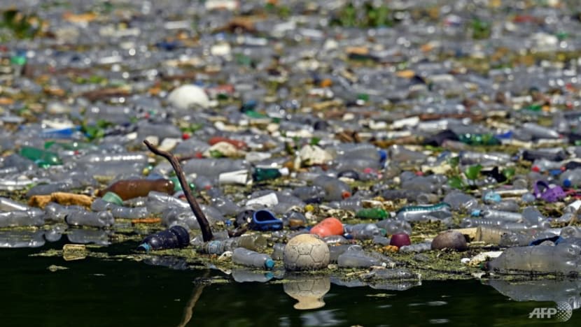 Plastic garbage covers Lake Suchitlan in El Salvador