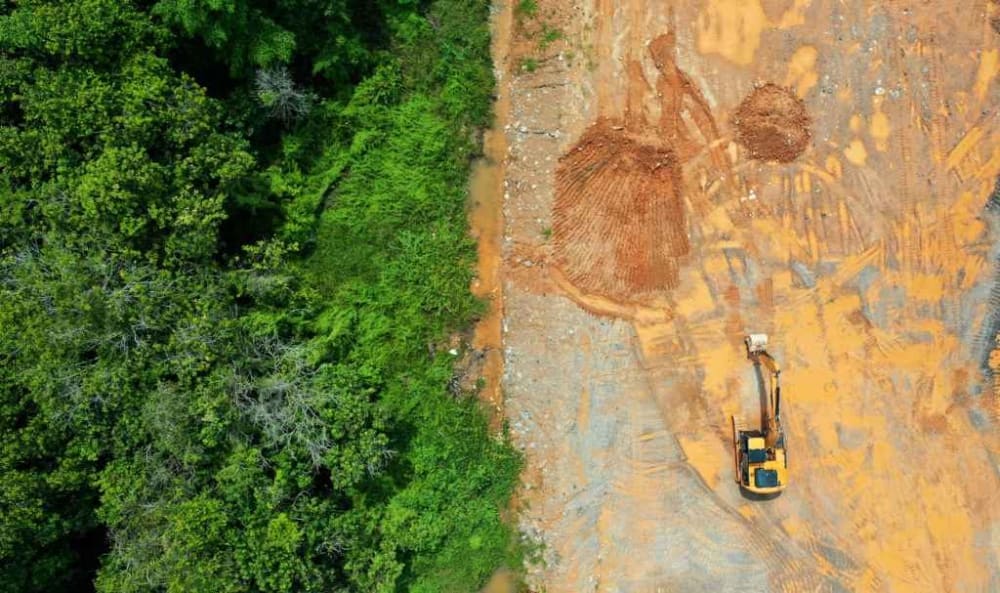 Deforestation In Asia Indonesia, Malaysia, Vietnam, and Thailand