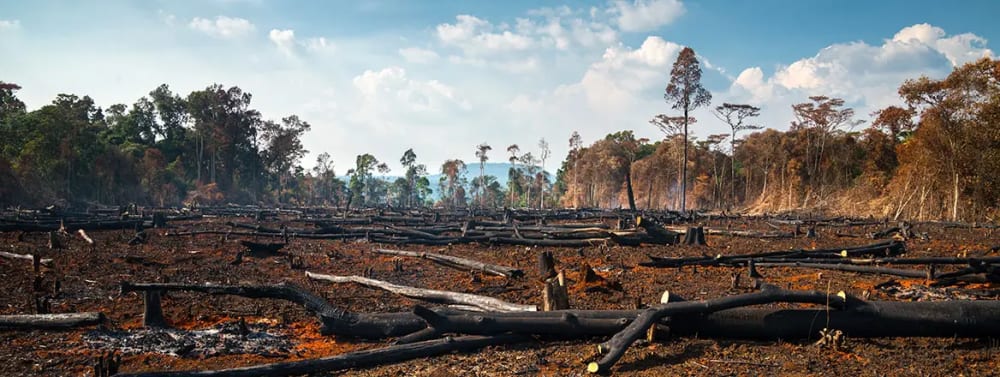 Can Southeast Asia Meet its Environmental Pledges?