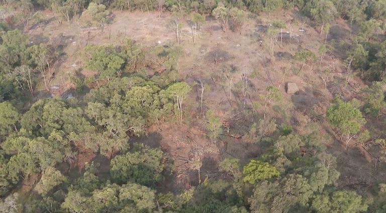 A clearing in Olpusimoru Forest Reserve