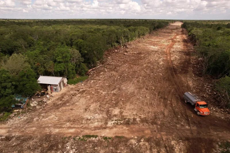 Deforestation jungle in Yucatán, Mexico