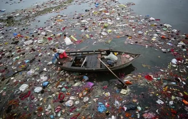 Pollution of the Yamuna River by domestic sewage leads to ecological disaster