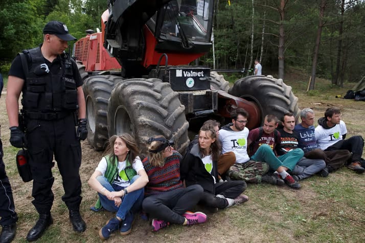 Activists from the environmental group Greenpeace block logging machines in the BiaĆowieĆŒa forest
