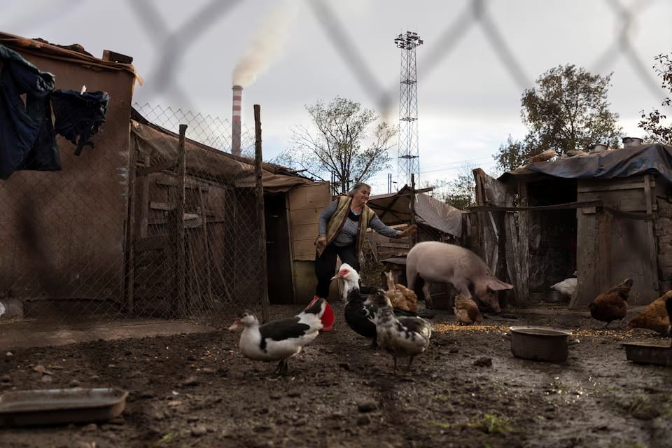Ljilja Krstic stands in her yard with her animals next to the Chinese-owned HBIS Serbia steel mill,