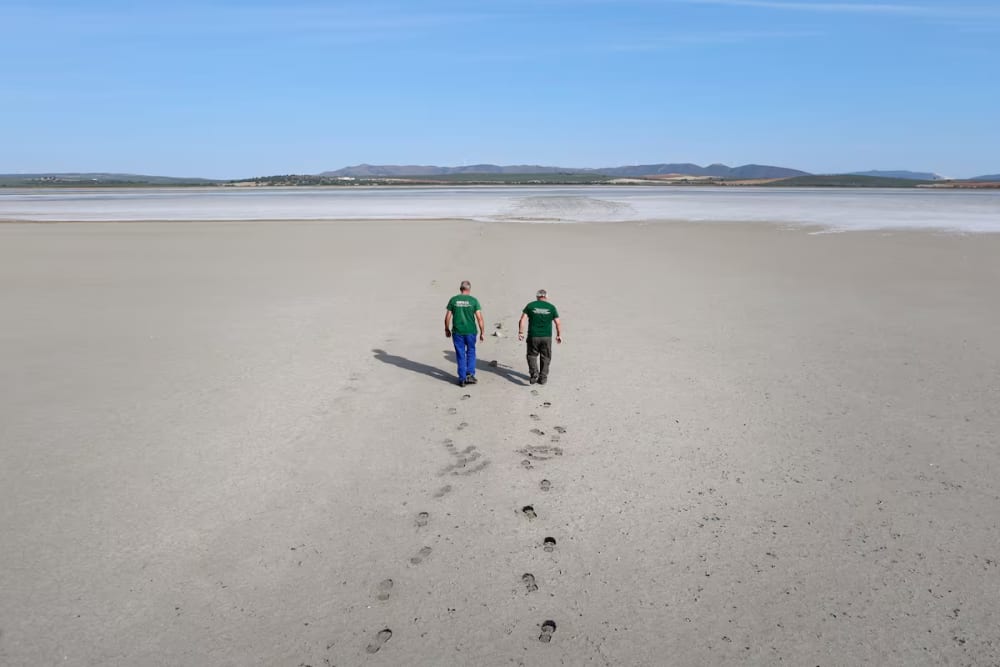 The dry, salt-covered Fuente Piedra lagoon in Malaga, Spain, mid-June 2023