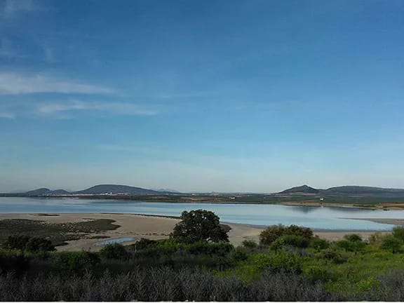 Fuente de Piedra is a Nature Reserve in Malaga