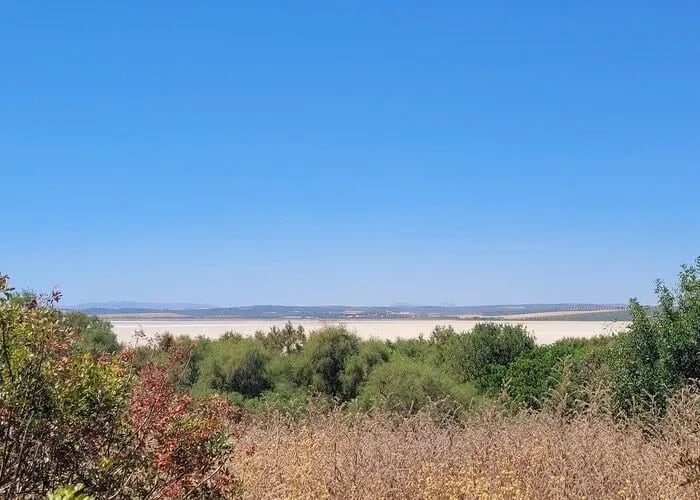Fuente de Piedra Reserve
