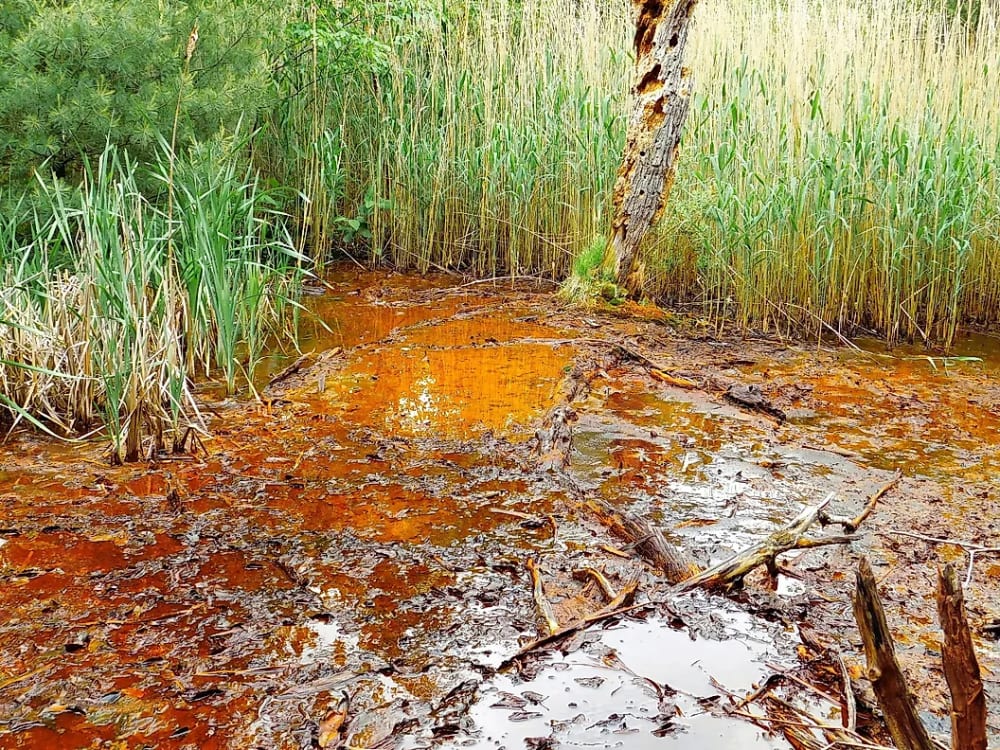 The water is heavily polluted by acidic mine effluents