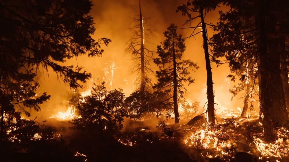 Fire ravages the Alaskan wilderness