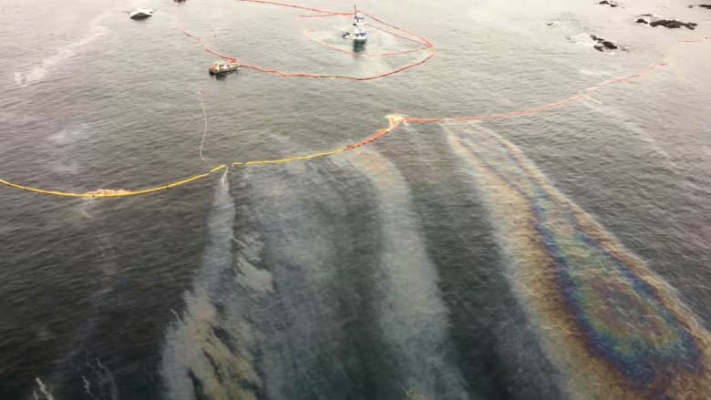 The Nathan E. Stewart spilled 110,000 litres of diesel and heavy oils into the Heiltsuk Nation's fishing territory on B.C.'s Central Coast