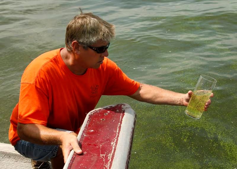 Worker for Meinke Marina, grabs a water sample from Lake Erie, near the city of Toledo water intake crib, Thursday.
