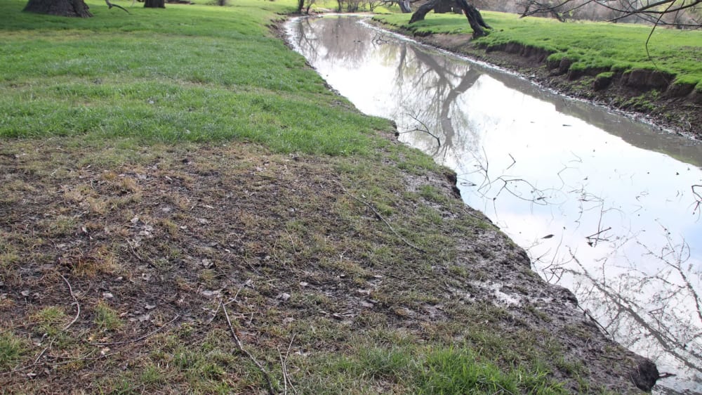 Feces also fell into Lake Yalpug