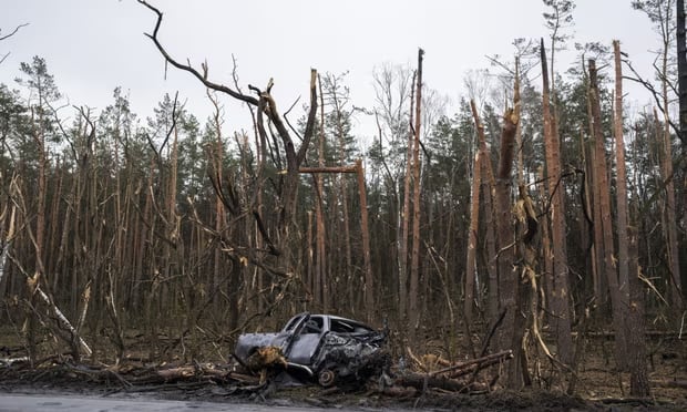 Damaged trees after a battle on the outskirts of Chernigov in April 2022.