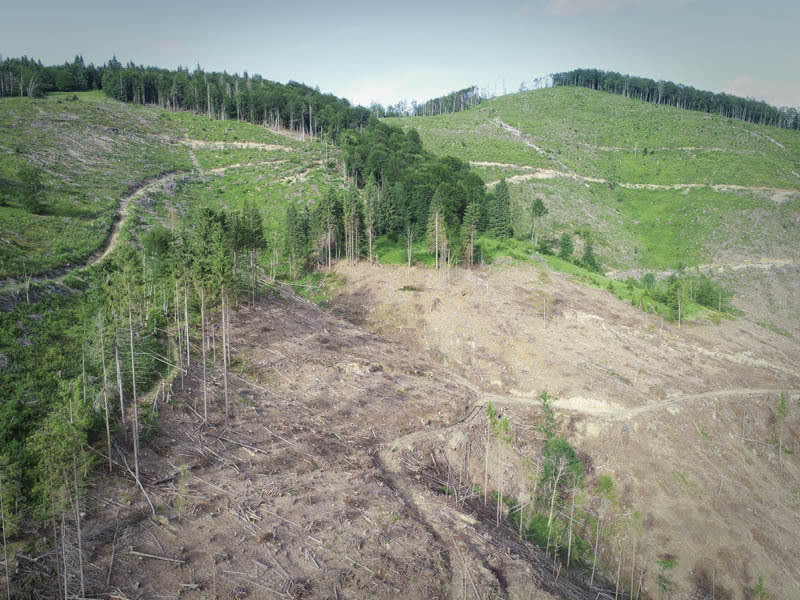 "Bare" Carpathians