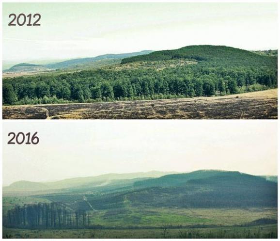 Carpathians without trees