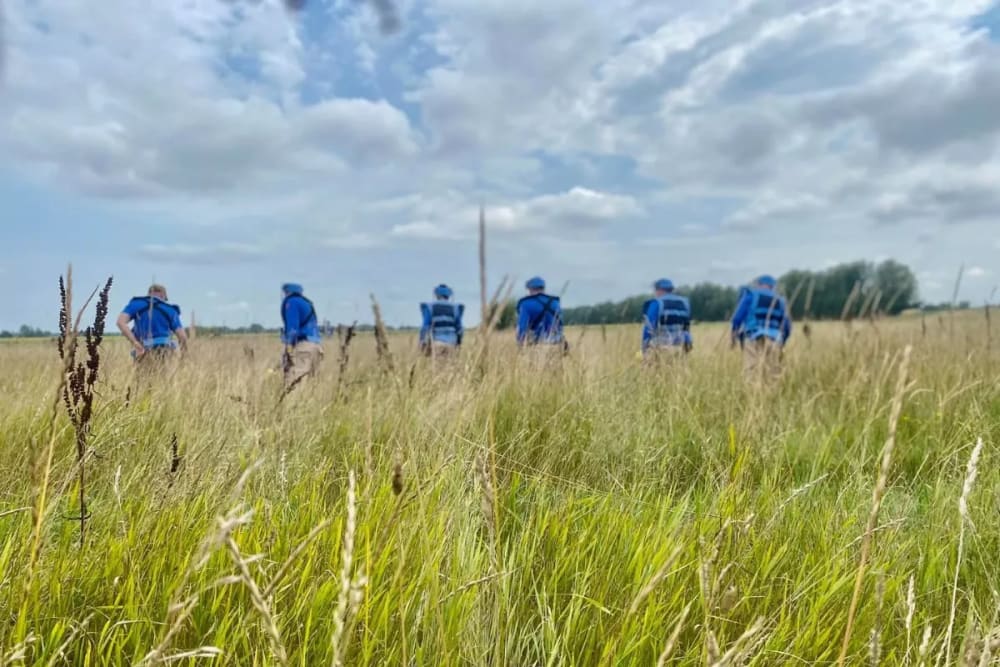 These sappers inspect a field in the Chernihiv region (Ukraine, 2022)