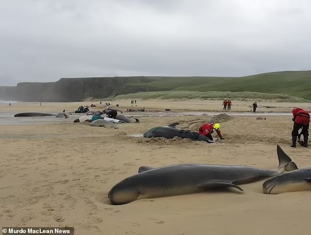 Around a dozen rescuers have been pictured taking part in the rescue effort on the Isle of Lewis