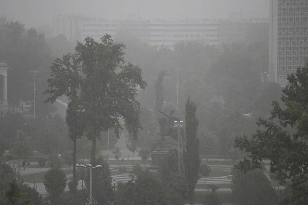 Air pollution in the city of Tashkent