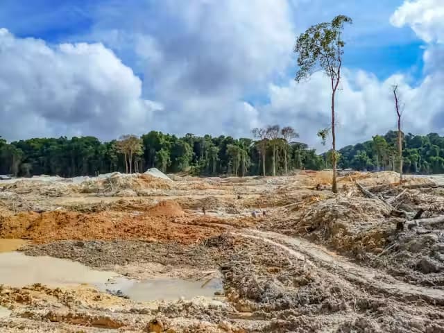 Amazon land deforestation