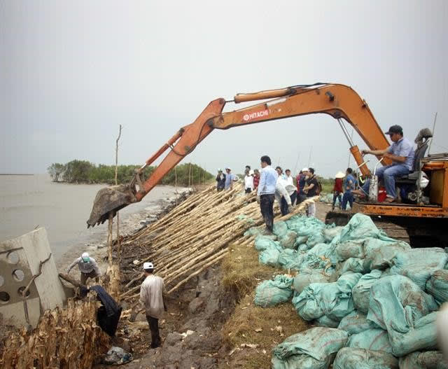The southernmost province of Ca Mau has sent forces to protect the western section of the provincial dyke to prevent it from eroding. Land subsidence is worsening in the Cuu Long (Mekong) Delta.