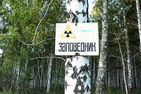 East Ural Nature Reserve