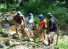 Farming couples of the Baie Lazare Watershed Committee using coir logs to lead the way in EBA wetland restoration.
