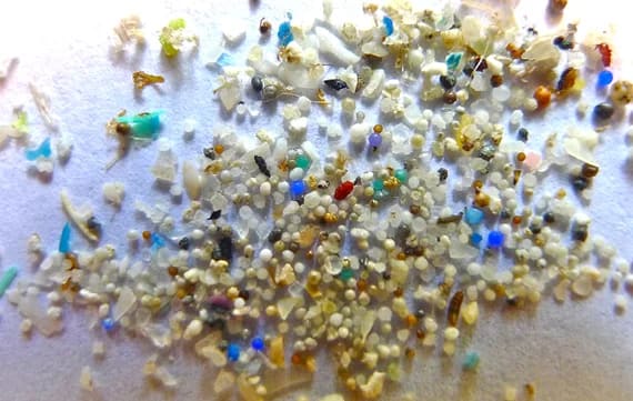 Microplastics in the ocean threaten marine life and food safety.