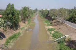 A drought-hit irrigation canal in Thailand's Pathum Thani province.