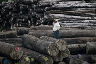 A worker looks on amid a pile of logs at a holding area along the Yangon River in Yangon, Myanmar, on July 23, 2015.