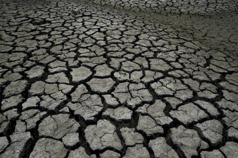 Dry, cracked soil is seen in the Boca reservoir, which supplies water to the northern city of Monterrey during a drought in Santiago, Mexico, July 9, 2022.