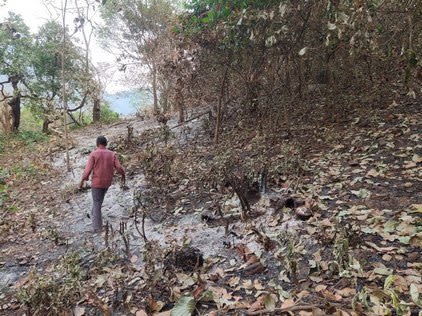 The Zonal Agriculture Office of Sattari received over 20 applications for compensation from farmers whose crops were damaged by the season’s fires.