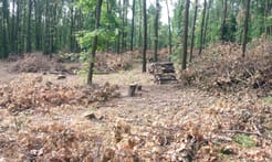 In the popular Makiiv group, they write that the area of felling in this tract is already the size of a football field.