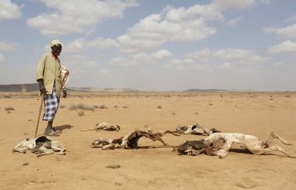 Somalia’s worst drought in 40 years has devastated lands already suffering from deforestation and over-grazing.