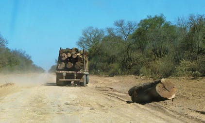 A truck transporting recently cut logs loses some of its cargo on one of the dusty roads of the Gran Chaco.
