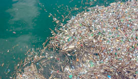 Plastic pollution in Great Lakes poses serious risks.