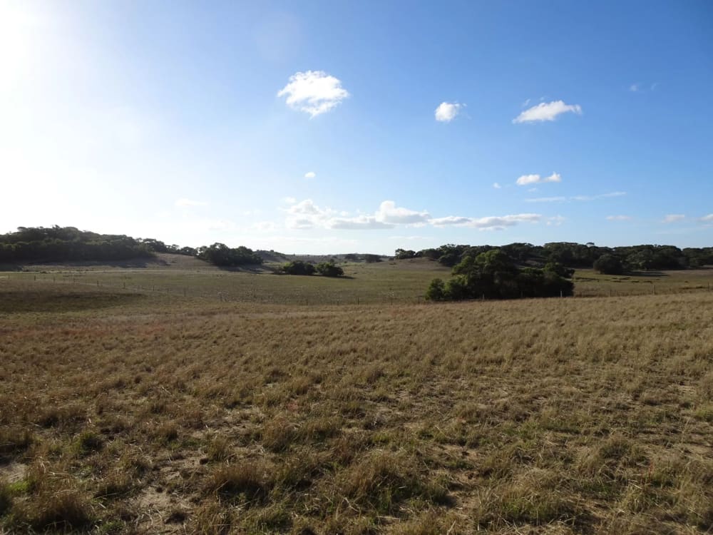 Mount Sandy Conservation