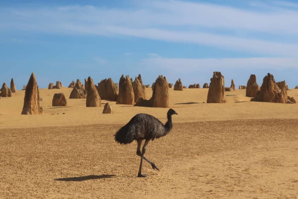 The Great Australian Desert has some of the most beautiful national parks in the world.