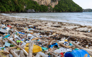 plastic litter