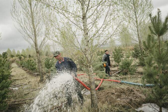 Three-North Shelter Forest Program