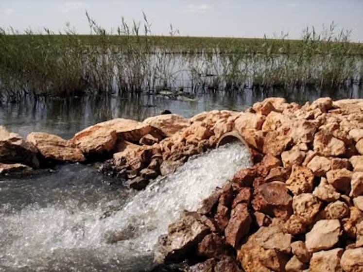 With the water mafia on the prowl, many illegal drinking water manufacturing units have sprouted up in New Delhi
